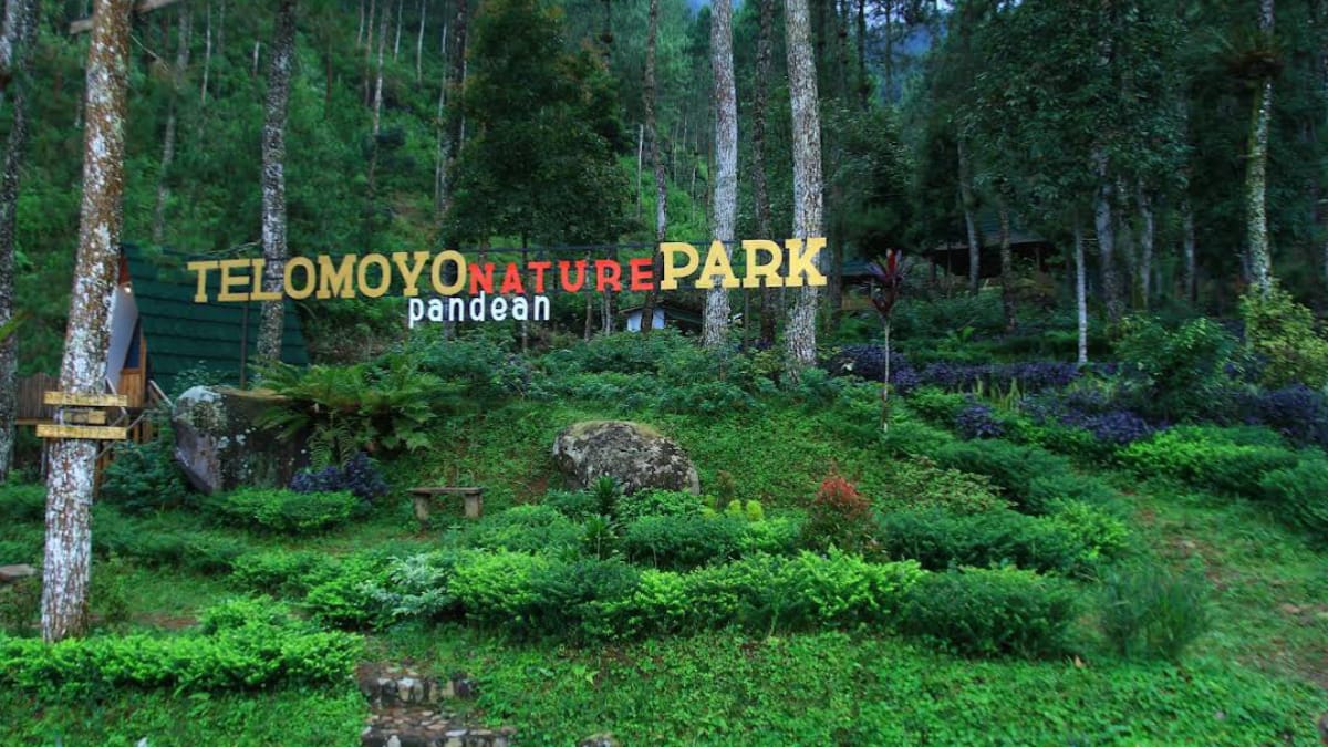 Telomoyo Nature Park: Destinasi Menikmati Alam di Lereng Gunung Merapi